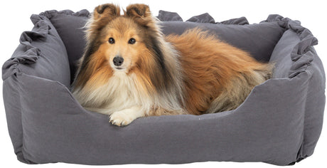PHO_PRO_DOG_CLIP_28500-28501-28502-1