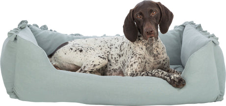PHO_PRO_DOG_CLIP_28503-28504-28505-1