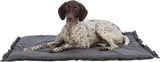 PHO_PRO_DOG_CLIP_28510-28511-28512-3