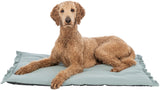 PHO_PRO_DOG_CLIP_28514-1