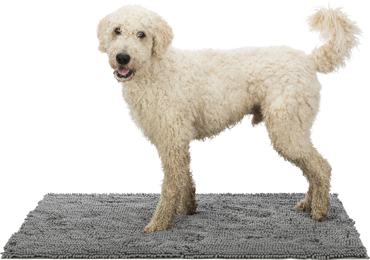 PHO_PRO_DOG_CLIP_28534-28535-28536-28537-1
