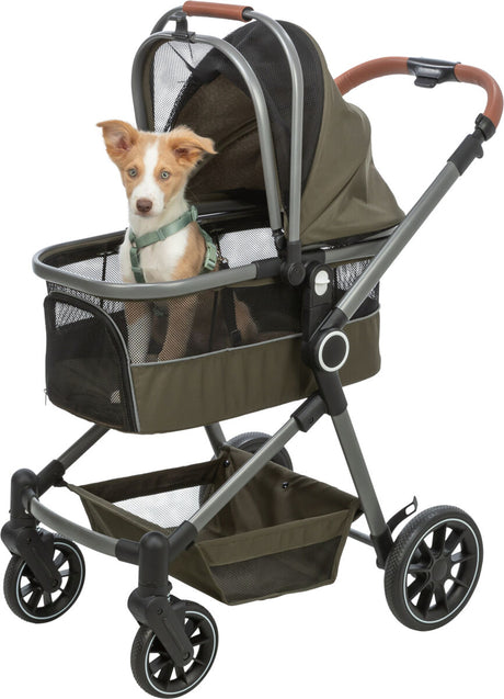 Ein kleiner Hund sitzt in einem grün-schwarzen Kinderwagen mit einem Netz und braunem Griff.