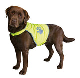 PHO_PRO_DOG_CLIP_30080-30081-30082-30083-30084-1