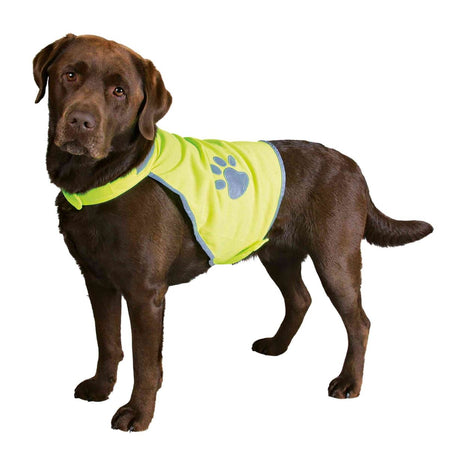 PHO_PRO_DOG_CLIP_30080-30081-30082-30083-30084-1