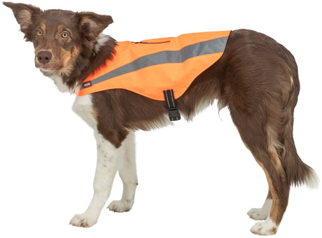 Hund mit orangefarbenem, reflektierendem Mantel mit schwarzem Verschlussband.