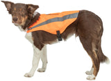 Hund mit orangefarbenem, reflektierendem Mantel mit schwarzem Verschlussband.