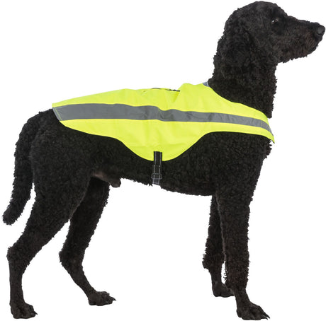Ein Hund trägt eine leuchtend gelbe Weste mit einem reflektierenden Streifen darauf.