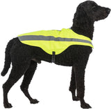 Ein Hund trägt eine leuchtend gelbe Weste mit einem reflektierenden Streifen darauf.