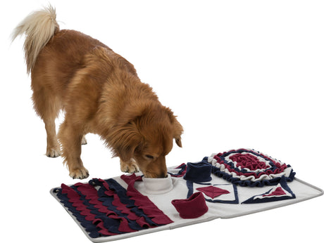 PHO_PRO_DOG_CLIP_32005-2