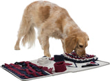 PHO_PRO_DOG_CLIP_32005-4
