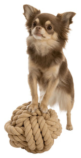 Ein kleiner Hund mit langem braunen Fell steht auf einer großen, geflochtenen Kordelkugel.