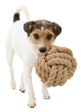 PHO_PRO_DOG_CLIP_32630-32631-2