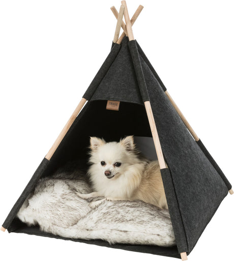 Ein kleiner Hund liegt in einem grauen Zelt mit Holzkonstruktion und weicher, weißer Decke.
