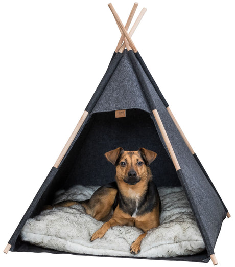 Ein Hund liegt auf einem weichen Fellpolster in einem dunkelgrauen Zelt mit Holzstäben.