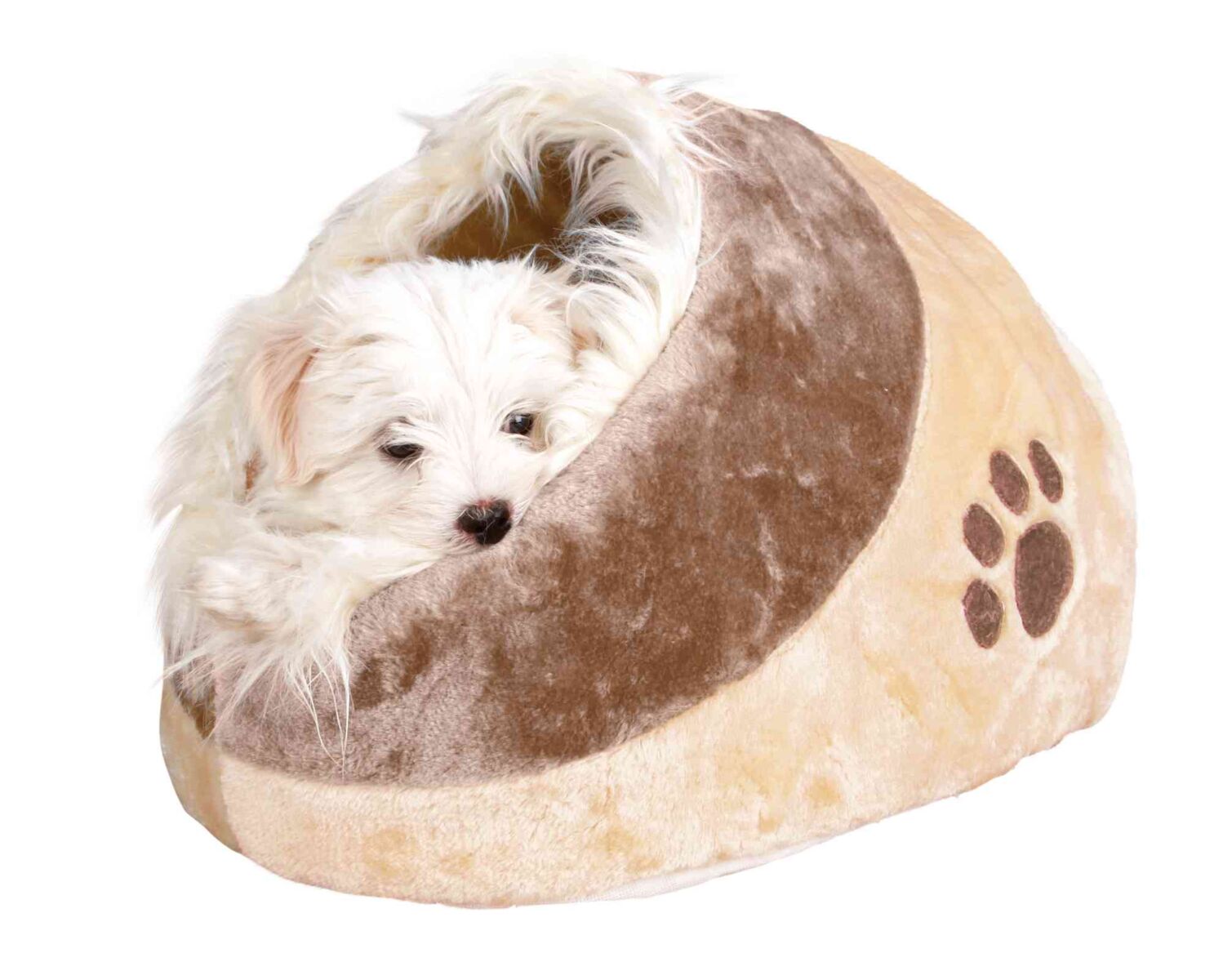 Kleiner, weißer Hund liegt in einer braun-beigen Hundehöhle mit Pfotenabdruckmuster.