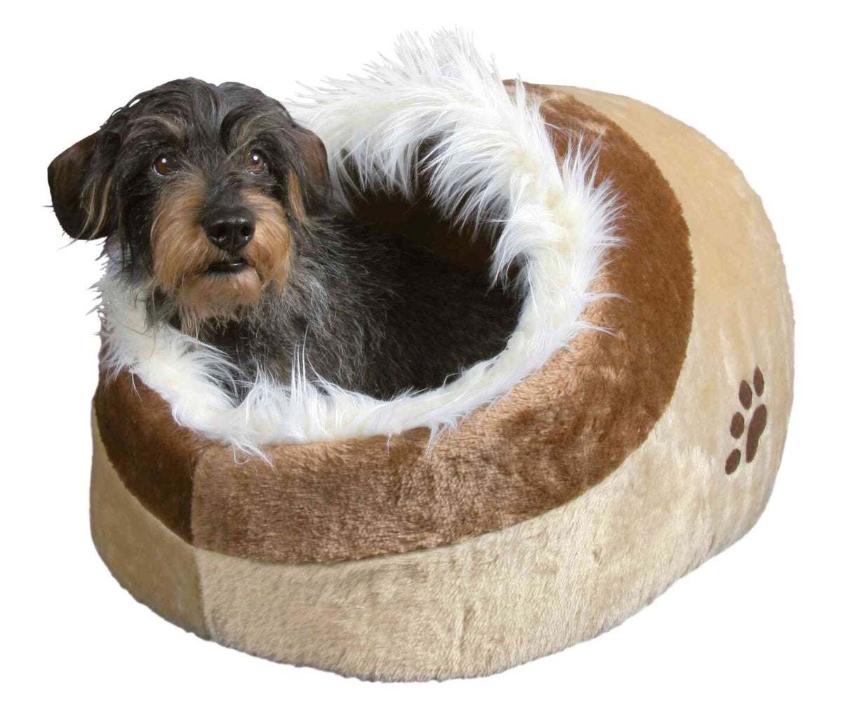 Ein schwarz-brauner Hund liegt in einer runden, beigen gemütlichen Höhle mit weißen flauschigen Kanten.