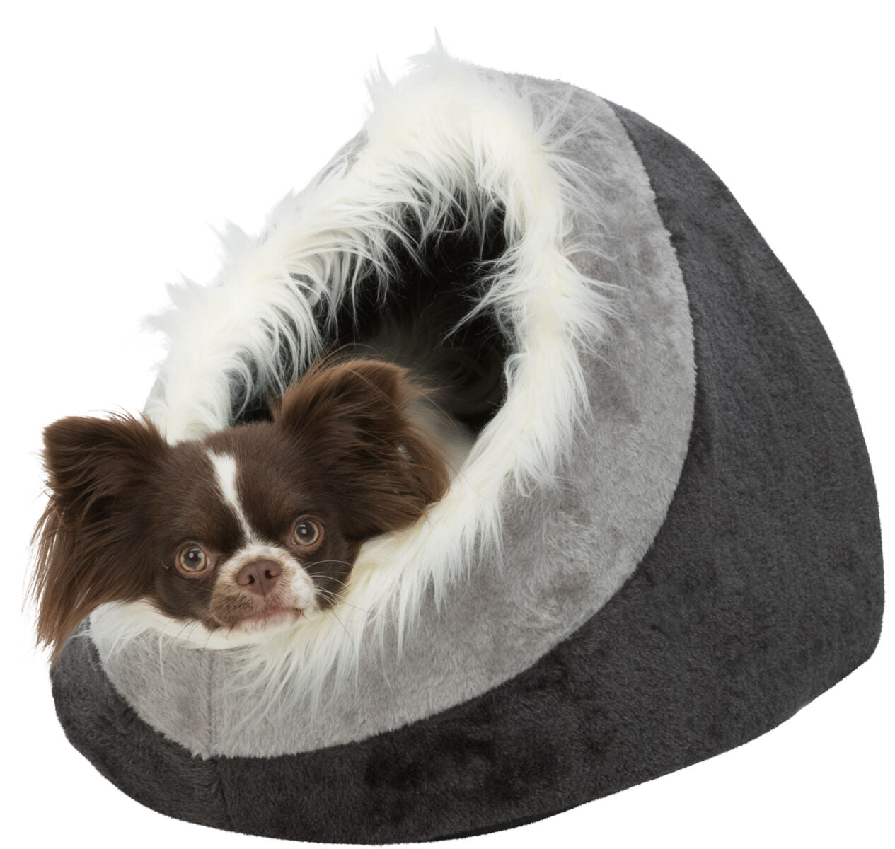 Kleiner brauner Hund liegt in einer grauen, pelzgefütterten Höhle.