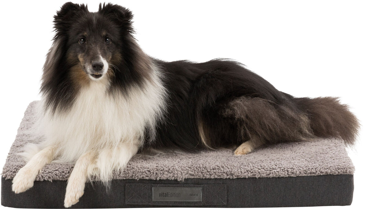 Ein schwarz-weißer Hund liegt auf einem grauen, plüschigen Hundebett mit der Aufschrift "vitalEdition TRIXIE".