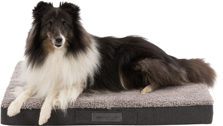 Ein schwarz-weißer Hund liegt auf einem grauen, plüschigen Hundebett mit der Aufschrift "vitalEdition TRIXIE".
