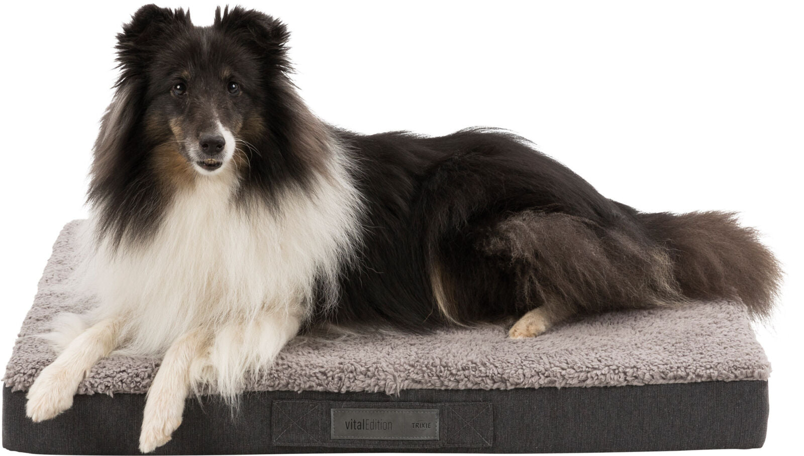 Ein schwarz-weißer Hund liegt auf einem grauen, plüschigen Hundebett mit der Aufschrift "vitalEdition TRIXIE".