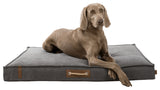 PHO_PRO_DOG_CLIP_36494-36495-1