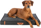 PHO_PRO_DOG_CLIP_36499-1