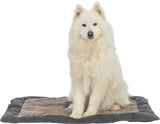 PHO_PRO_DOG_CLIP_36507-36508-1