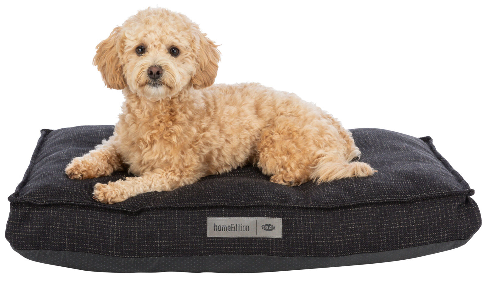 Ein kleiner, lockiger, hellbrauner Hund liegt auf einem schwarzen Kissen mit einem Etikett "homeEdition TRIXIE".