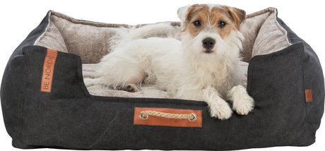 PHO_PRO_DOG_CLIP_36590-36591-36592-1
