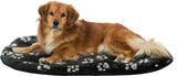 PHO_PRO_DOG_CLIP_36617-1