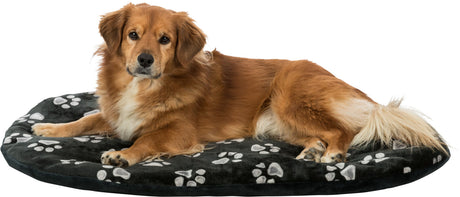 PHO_PRO_DOG_CLIP_36617-1