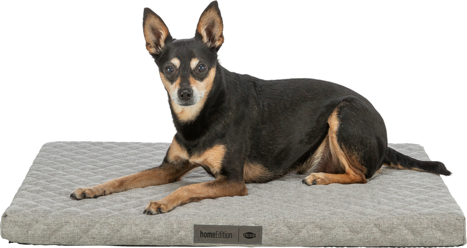 PHO_PRO_DOG_CLIP_367400-367401-367402-367403-367404-1