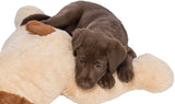 PHO_PRO_DOG_CLIP_36980-1