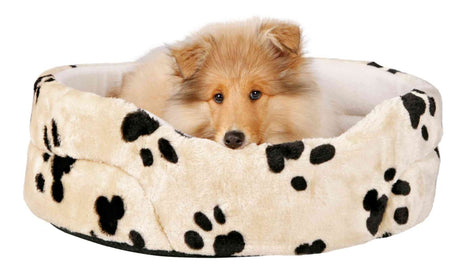 PHO_PRO_DOG_CLIP_37001-37008-1