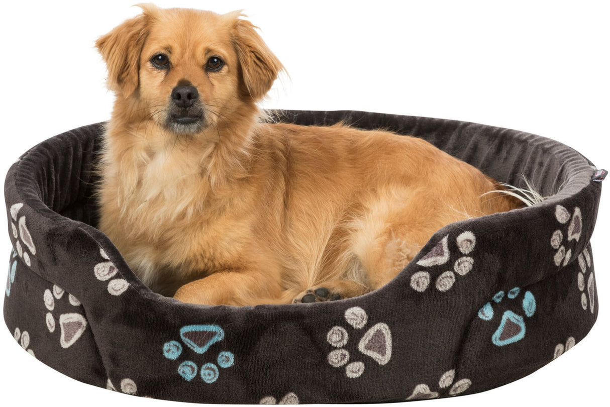 Ein brauner Hund liegt in einem runden, gepolsterten Hundebett mit bunten Pfotenabdrücken auf dunklem Stoff.