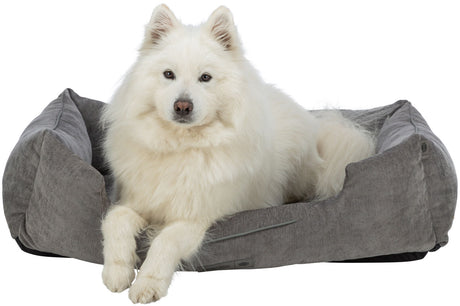 Weißer Hund liegt in einem grauen, weichen Hundebett und schaut in die Kamera.