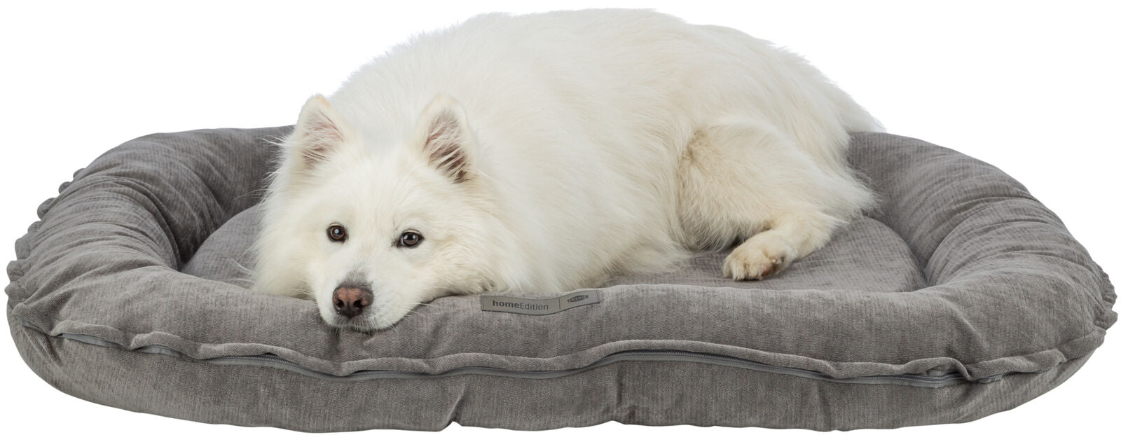 Weißer Hund liegt auf einem großen, grauen Kissen und schaut zur Kamera.