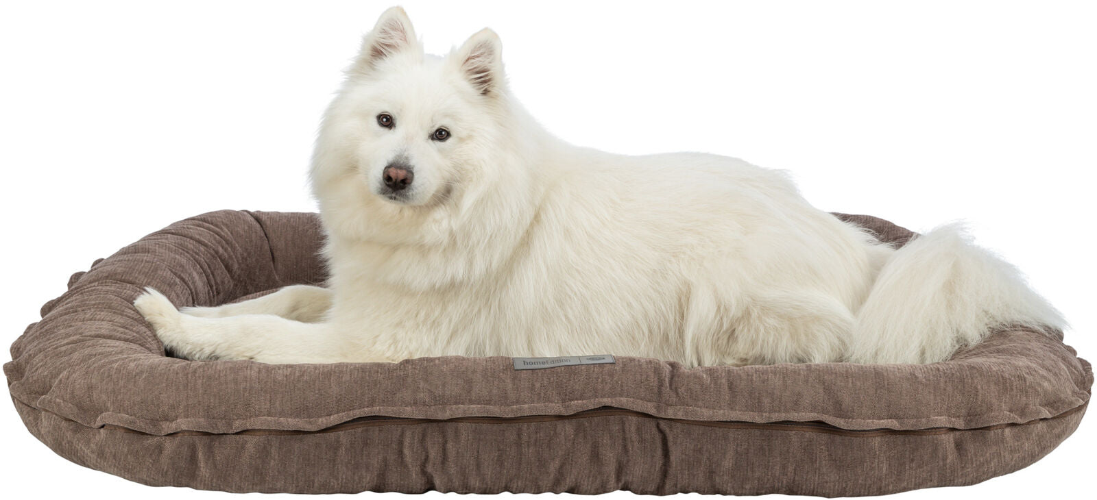Weißer Hund liegt in einem braunen, ovalen Hundekorb mit einem neutralen Hintergrund.