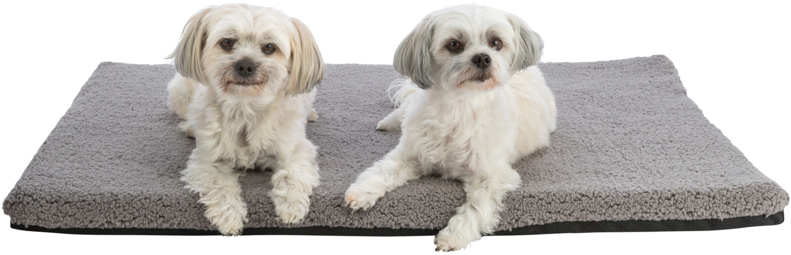 Zwei kleine, weiß-graue Hunde liegen nebeneinander auf einer grauen, flauschigen Matte.