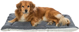PHO_PRO_DOG_CLIP_37236-1