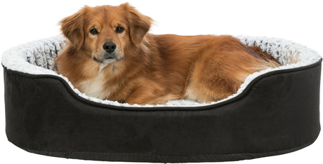 PHO_PRO_DOG_CLIP_37251-37252-37253-2