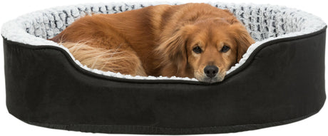 Hund liegt entspannt in einem runden, schwarzen Hundebett mit weißer, plüschiger Umrandung.
