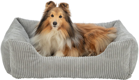PHO_PRO_DOG_CLIP_37263-37264-37265-1
