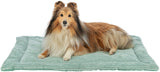 PHO_PRO_DOG_CLIP_37266-37267-1