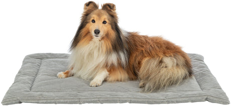 Ein Hund mit langem, weiß-braunem Fell liegt auf einer grauen, gesteppten Hundematte.