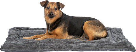 Hund liegt auf einem grauen, gesteppten Hundebett, das auf einem weißen Hintergrund platziert ist.