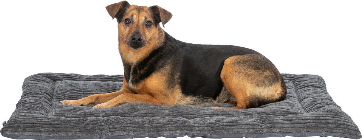 Hund liegt auf einem grauen, gesteppten Hundebett, das auf einem weißen Hintergrund platziert ist.