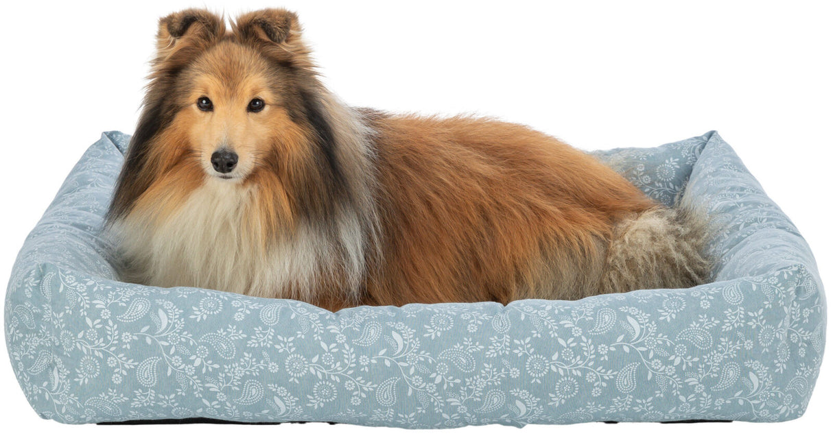 PHO_PRO_DOG_CLIP_37280-37281-37282-1