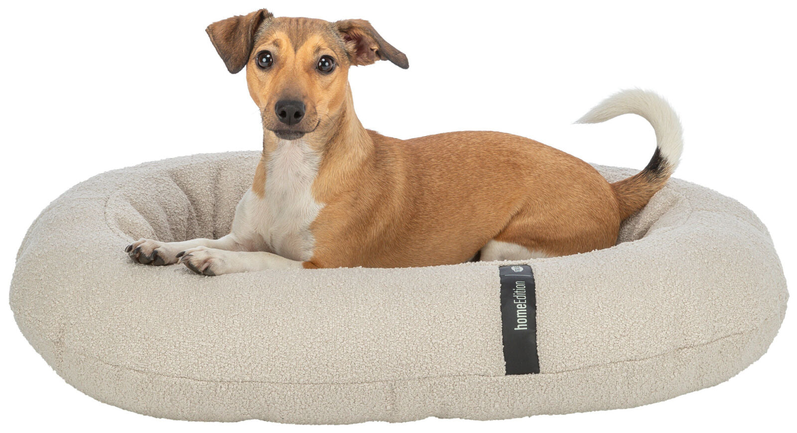 Ein braun-weißer Hund liegt in einem beigen, runden Hundebett mit Stoffetikett "home edition".