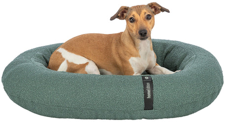 Hund mit braun-weißem Fell liegt in einem ovalen, grünen Hundebett mit "Home Edition"-Aufschrift.